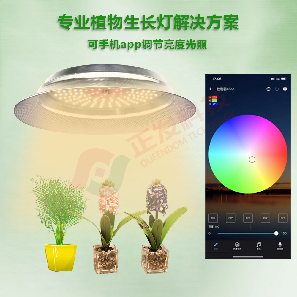 塔吊植物灯