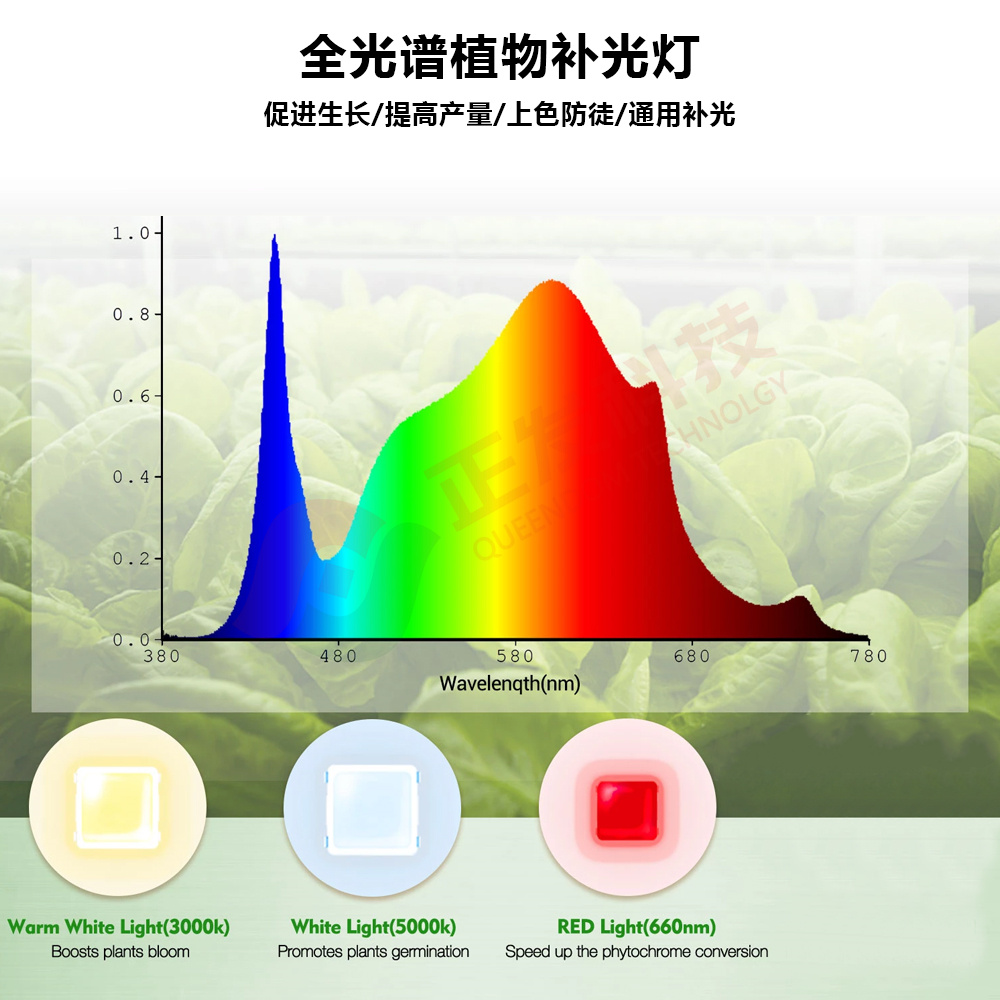 塔吊植物灯