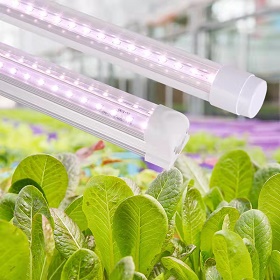 T8植物灯管
