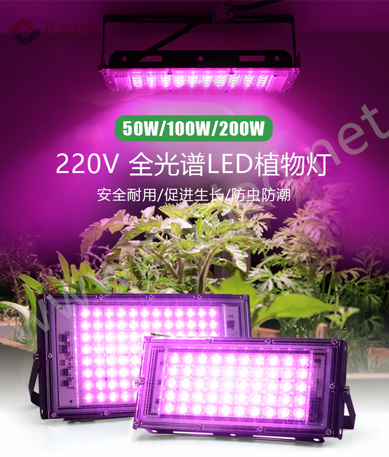 植物泛光灯